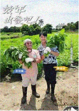 拆解大师综艺封面